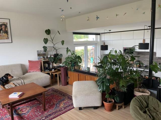 Huis te huur
