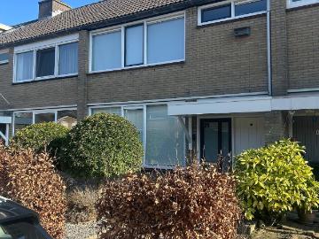Olland, Meierijstad, Noord-Brabant - Tuin