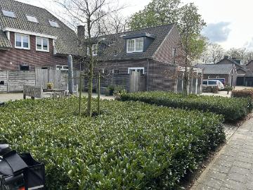 Vessem, Gemeente Eersel, Noord-Brabant