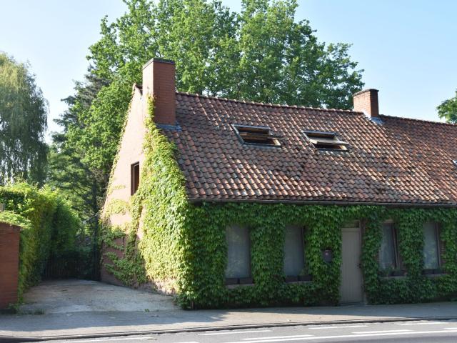 Huis te huur in Bellegem met 1 slaapkamer
