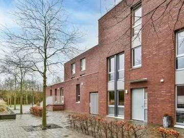 Oude Rijn, Binnenstad, Leiden, Leiden, Zuid-Holland