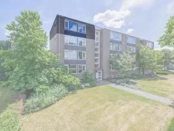 Olland, Meierijstad, Noord-Brabant - Kelder