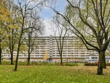 Oud-West, West, Amsterdam, Amsterdam, Noord-Holland, Noord-Holland