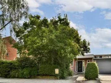 Olland, Meierijstad, Noord-Brabant
