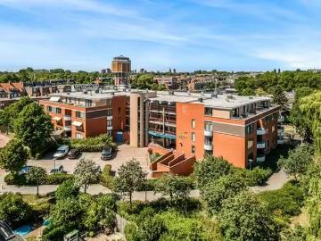 Olland, Meierijstad, Noord-Brabant - Terras