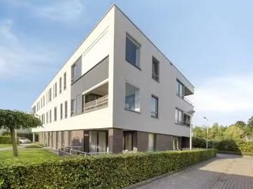 Olland, Meierijstad, Noord-Brabant
