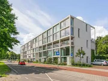 Olland, Meierijstad, Noord-Brabant