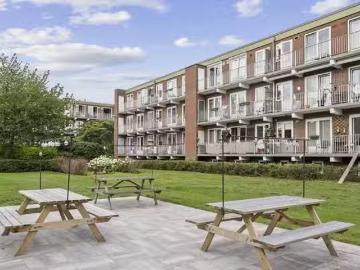 Olland, Meierijstad, Noord-Brabant