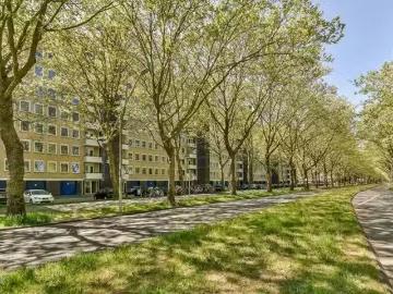 Buitenveldert, Zuid, Amsterdam, Amsterdam, Noord-Holland, Noord-Holland