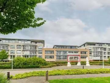 Homerusbuurt, Gemeente Rotterdam, Zuid-Holland