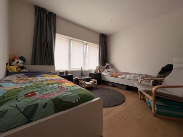 9200, Termonde, Flandre orientale, Flandre