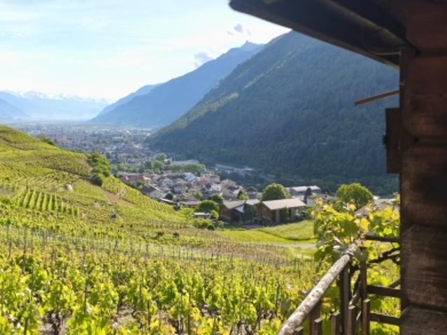 Hütte in den Weinbergen – Martigny
