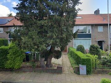 Naarden, Gooise Meren, Noord-Holland - Tuin