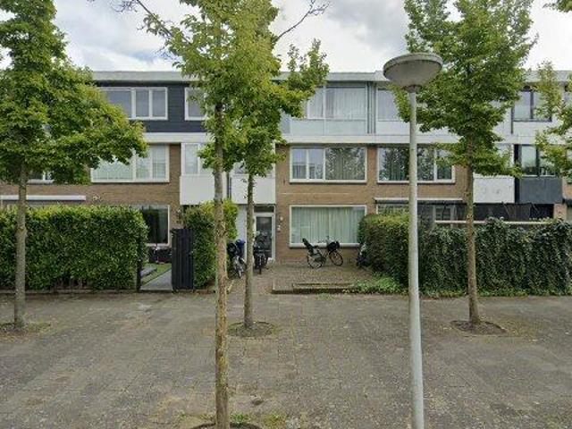 huurwoning for rent Amsterdam Vijverhoef
