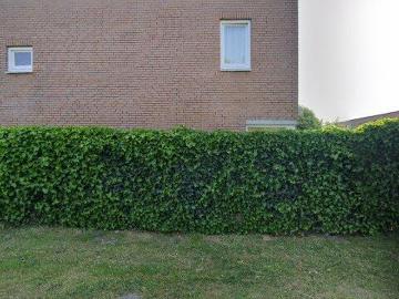 Sloterpolder, Nieuw-West, Amsterdam, Noord-Holland, Noord-Holland
