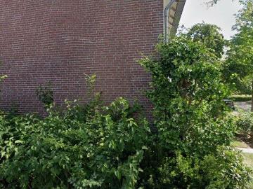 huurwoning for rent Bergen op Zoom Kapittelstraat