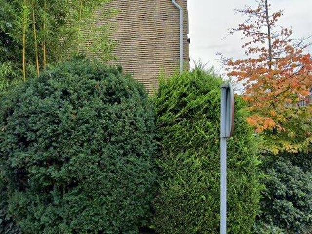huurwoning for rent Den Haag De Poorterstraat