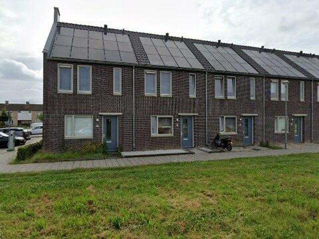huurwoning for rent Roermond Niellerveld