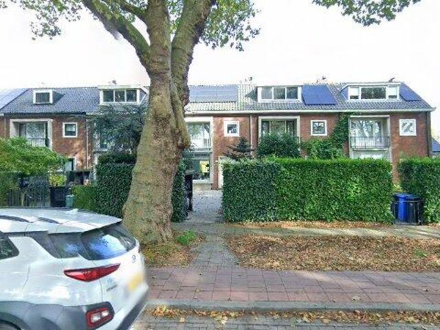 huurwoning for rent Rotterdam Molenlaan