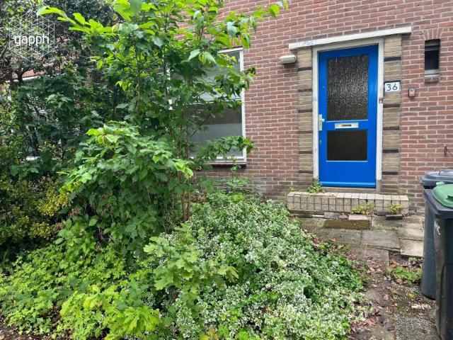 Huurwoning Papendrecht