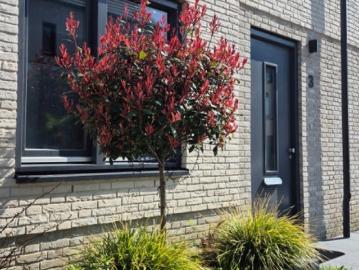 Huurwoning te huur in Eindhoven