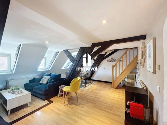 HYPER CENTRE 3P MEUBLE 67.19m² au sol et 49.17m² habitable