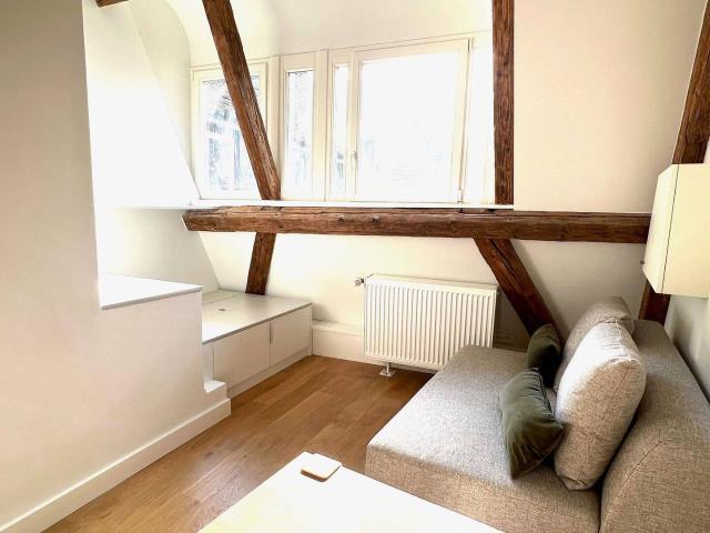 Hypercentre, duplex, 2 pièces, 33 m2, haut de gamme, équipé