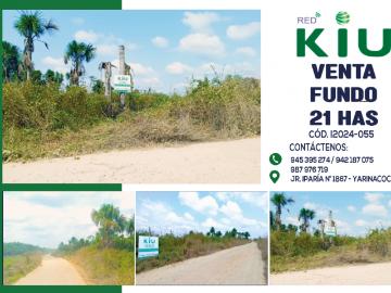 Pucallpa, Nueve De Abril, Yarinacocha, Provincia de Coronel Portillo, Ucayali