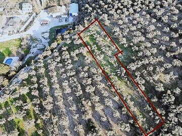 Şirince Yolu, Selçuk, İzmir ili, Ege Bölgesi