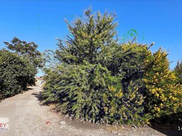 Balçova, İzmir ili, Ege Bölgesi