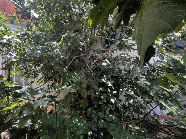 İhsaniye Mahallesi Tuna Cd. Üstünde 3+1 140 M² Net Kirlık Daire