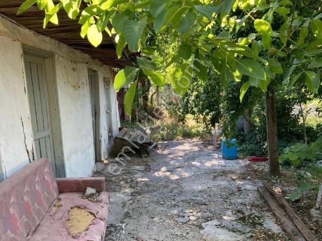 İçin De Evi Olan Tarla