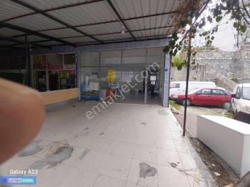 Kuşadası, Aydın ili, Ege Bölgesi