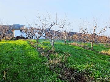 Şirince, Selçuk, İzmir ili, Ege Bölgesi