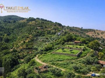 Şirince, Selçuk, İzmir ili, Ege Bölgesi