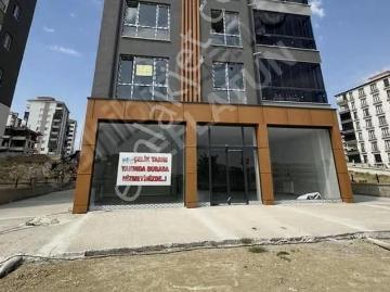 İstiklal Mah. Borsa Yolu Üzerinde Kiralık Sıfır 3+1 Daire