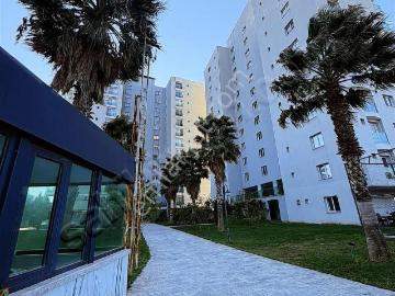 Dallıca, Nazilli, Nazilli, Aydın ili, Ege Bölgesi