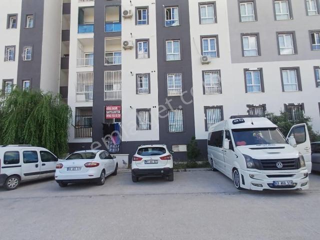 Güzel Emlak Tan İskanlı Daire
