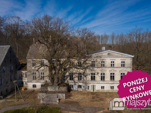 Urokliwy pałac z parkiem i 30 pokojami, 800 m2, Ińsko