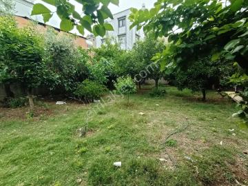 Adana, Adana ili, Akdeniz Bölgesi - Klima