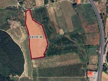 Selçuk, İzmir ili, Ege Bölgesi - Open space