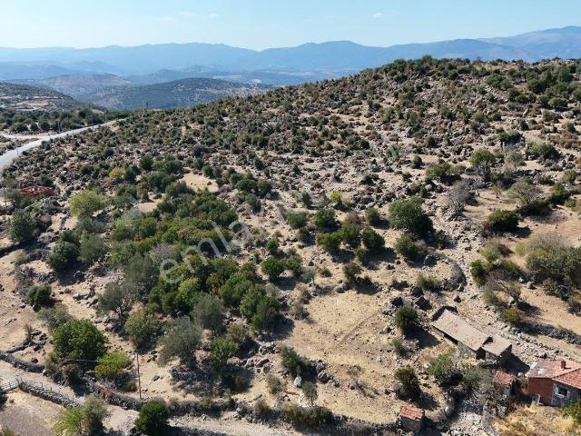 İzmir Bergama Durmuşlar Mahallesi’nde Satılık 4.500 M² Köy İçi Tarla