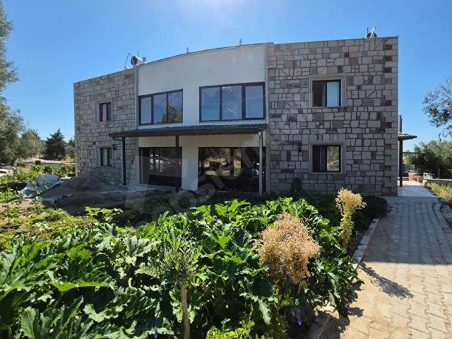 İzmir Dikili Bademli Kiralık Denize Yakın Konforlu Tatil Evi