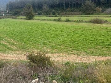 Selçuk, İzmir ili, Ege Bölgesi - Open space