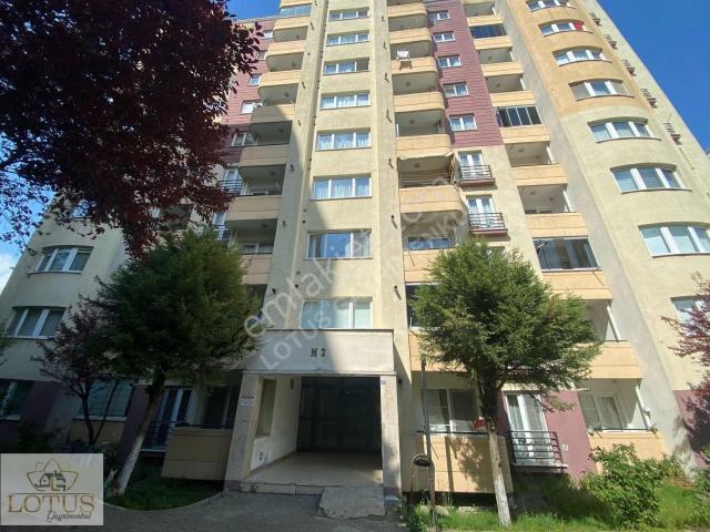 İzmit Kent Konut 2.etap Arakat Eşyalı 80 M2 Kiralık 1+1 Daire