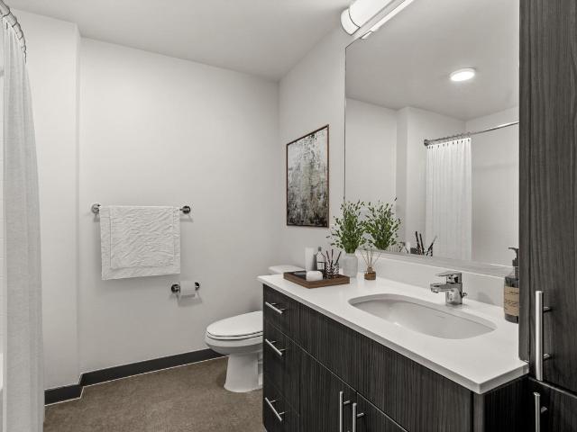 Icon Apartments 1 Bedroom Apartment for Rent at 400 S Jackson St, Seattle, WA 98104 International District