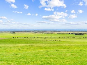 Ranga, Flinders, Tasmania, Cloudy Bay, Kingborough, Tasmania Island