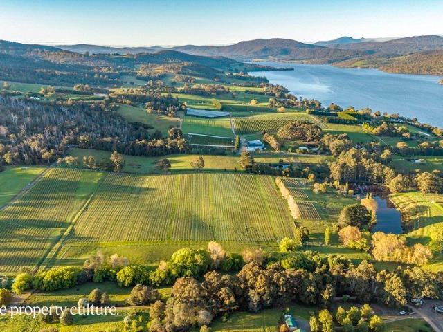 Iconic Huon Valley Vineyard