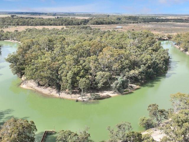 ICONIC MURRUMBIDGEE RIVER FRONTAGE