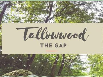 The Gap, Brisbane, Mount Coot-Tha, Brisbane County, Queensland
